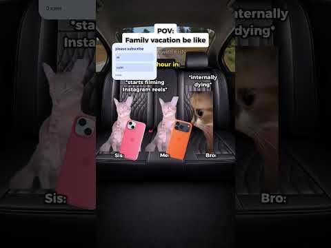 #catmeme #catshorts #memes #cat #cute