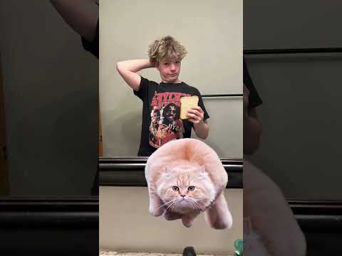 #funny #meme #memes #pleasesubscribe #pleasesubscribe