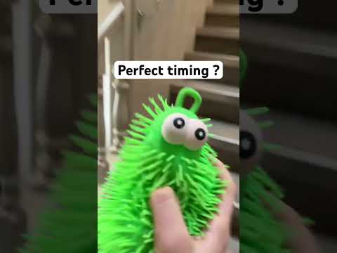 Ender peaarl #meme #funny #relatable #gaming #cat #trendingshorts #trend #viral