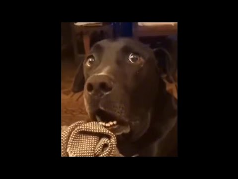 Dank Offensive Memes Compilation #224