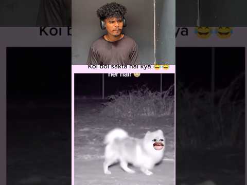 TRY NOT TO LAUGH CHALLENGE Pt.76 😂 | #shorts #funny #reaction #memes #viral #trynottolaughreaction