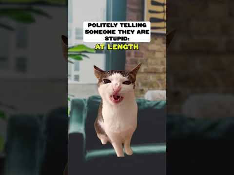 Politely Telling Someone They Are Stupid 😅 (CAT MEMES🐈) @Ryanhdlombard #shorts