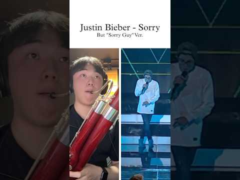 Justin Bieber - SorryBut Sorry Guy Ver. 🕺🕺🕺 #justinbieber #sorry #meme