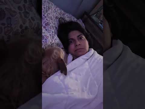 hiii #reels #funny #youtubeshorts #shorts #memes #meme #fails #anime #funnyvideo #memesdaily