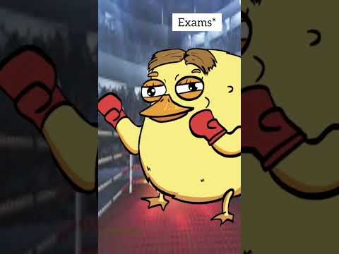 Funny Memes Compilation 😂 | Try Not To Laugh #Shorts #YTReels