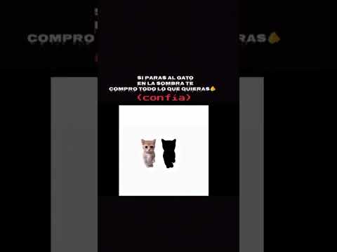 Si no confiaste te tienes que suscribir🫵#meme#viral#humorperuano#humor