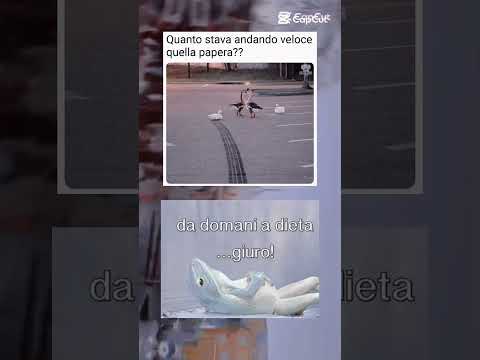 #memes  #lifeisbutadream #memes #memeita #memesdaily #divertente #italia #meme #funny #ridere